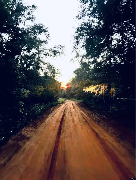 0 E Bear Hollow Trl, Greenville, FL 32331