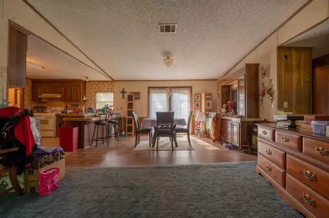 3060 Johnson Stripling Rd, Perry, FL 32347 photo 3