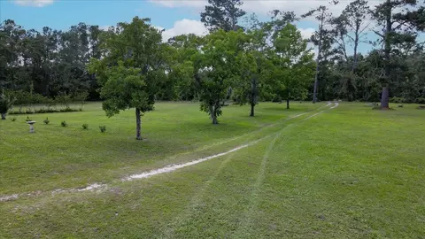 Other - 3121 Pisgah Rd, Perry, FL 32347 photo 6 of 12