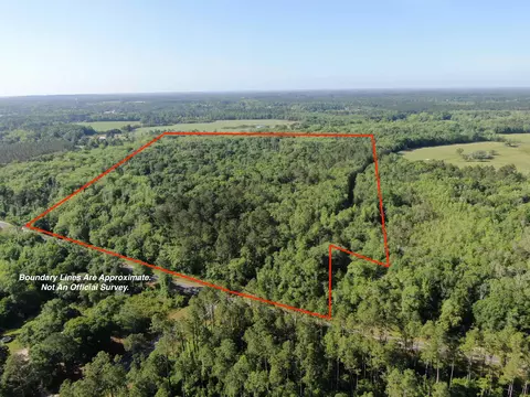 1665 Old Bonifay Rd, Chipley, FL 32428 photo 1