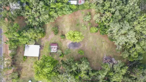 3125 Slaughter Rd, Perry, FL 32347 photo 36