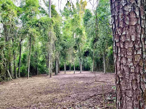 Nnn Shiver Road, Monticello, FL 32344