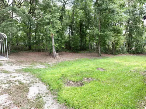 Exterior - 160 NE Gloriosa Ln, Lee, FL 32059 photo 10 of 11