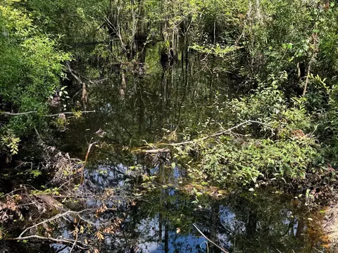 Fallow Road, Lamont, FL 32336 photo 11