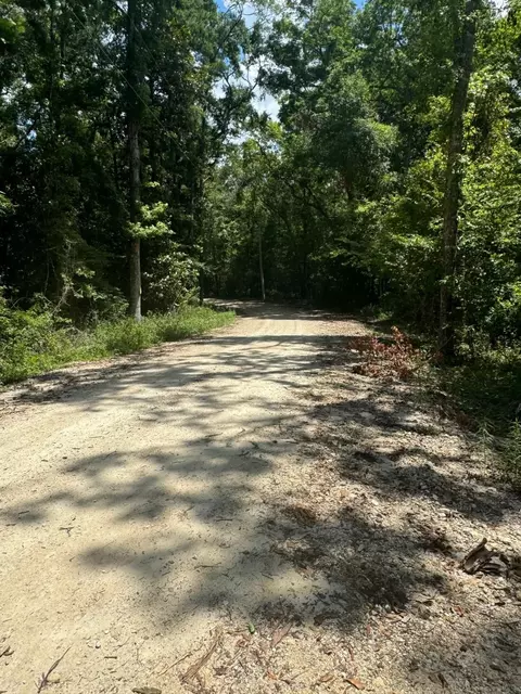 Fallow Road, Lamont, FL 32336 photo 12
