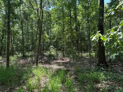 Fallow Road, Lamont, FL 32336 photo 5