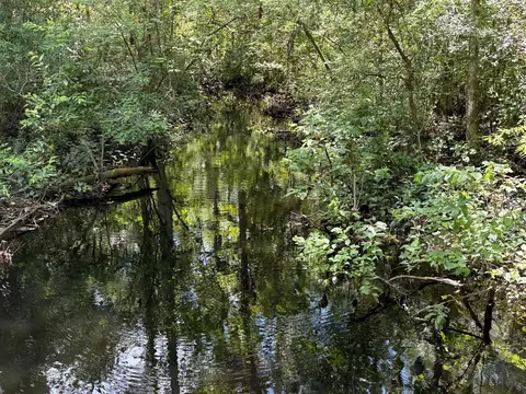 Fallow Road, Lamont, FL 32336 photo 7