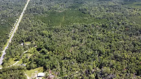 749 Osteen Rd, Perry, FL 32348 photo 9