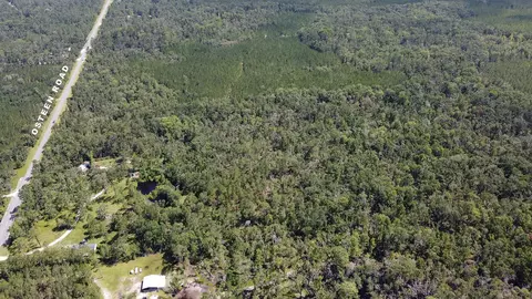 749 Osteen Rd, Perry, FL 32348 photo 2