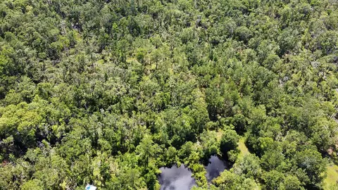 749 Osteen Rd, Perry, FL 32348 photo 8