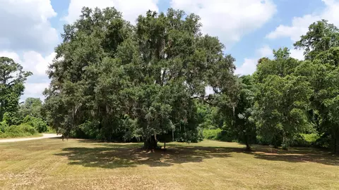 Vacant W 3rd Way, Greenville, FL 32331