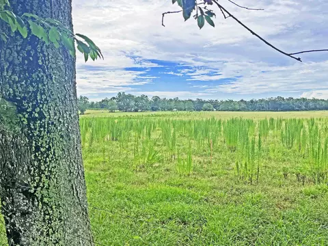 Nnnn St Augustine Rd Parcel #2, Monticello, FL 32344