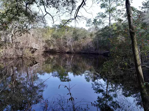 Nn Seminole Lane, Sopchoppy, FL 32358