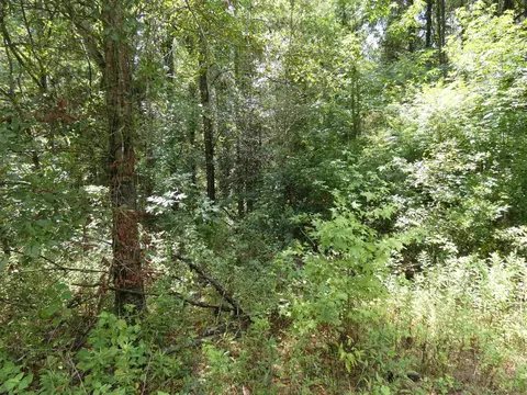 Tbd Blackberry Trail, Monticello, FL 32344