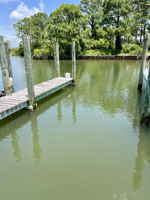 View/Area - 508 Gulf Shore Dr, Carrabelle, FL 32322 photo 4 of 4
