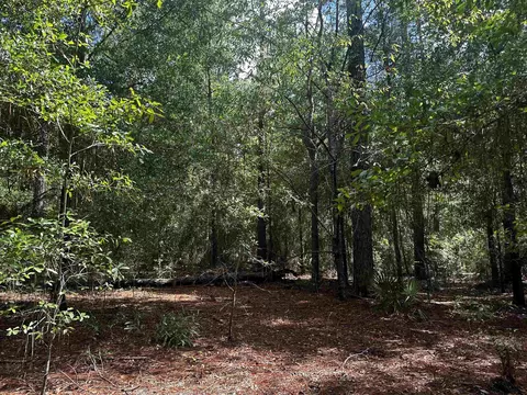 Vacant NE Jasmine Terrace, Lee, FL 32059