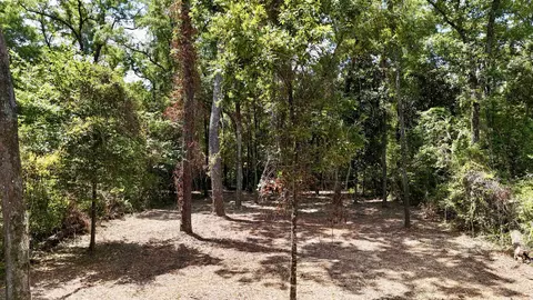0 Palomino Rd, Crawfordville, FL 32327
