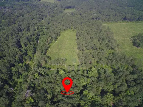 193 Northwood Ln, Crawfordville, FL 32327