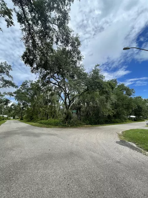 109 El Primeros Dr, Perry, FL 32347
