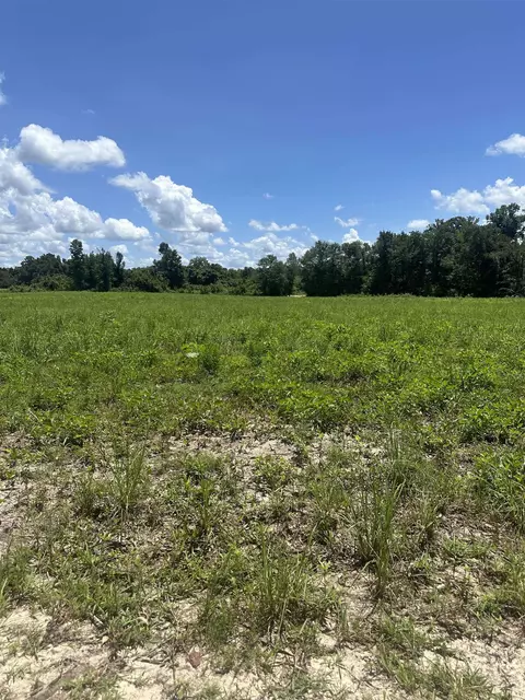 Nn Harbin Road, Quincy, FL 32351