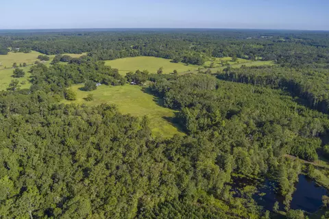 000 Clark Rd, Monticello, FL 32344