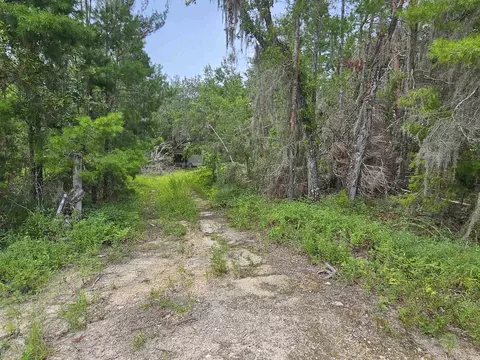 15912 SW Blue Crab Dr, Perry, FL 32348 photo 1