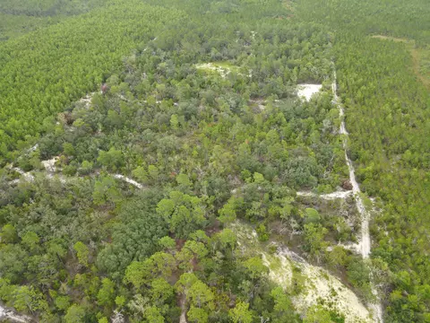 3386 Fish Creek Rd, Perry, FL 32348 photo 24