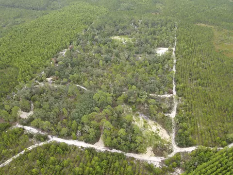 3386 Fish Creek Rd, Perry, FL 32348 photo 22
