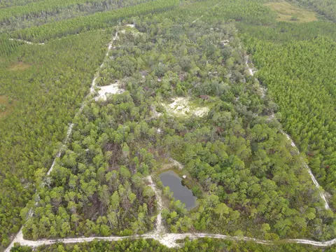 3386 Fish Creek Rd, Perry, FL 32348 photo 3
