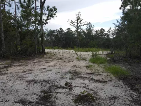 3386 Fish Creek Rd, Perry, FL 32348 photo 37