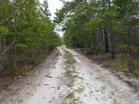 3386 Fish Creek Rd, Perry, FL 32348 photo 30