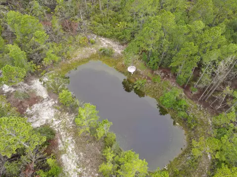 3386 Fish Creek Rd, Perry, FL 32348 photo 6