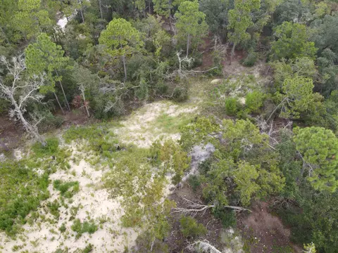 3386 Fish Creek Rd, Perry, FL 32348 photo 20
