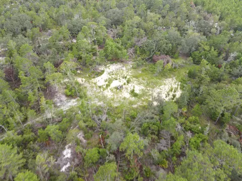 3386 Fish Creek Rd, Perry, FL 32348 photo 7
