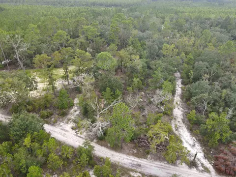3386 Fish Creek Rd, Perry, FL 32348 photo 17