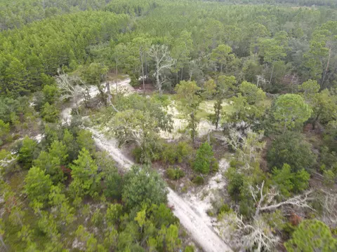 3386 Fish Creek Rd, Perry, FL 32348 photo 18