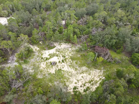 3386 Fish Creek Rd, Perry, FL 32348 photo 10