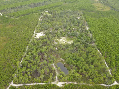3386 Fish Creek Rd, Perry, FL 32348 photo 2
