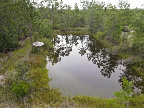 3386 Fish Creek Rd, Perry, FL 32348 photo 41