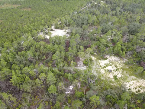 3386 Fish Creek Rd, Perry, FL 32348 photo 8