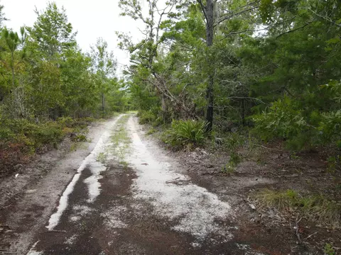 3386 Fish Creek Rd, Perry, FL 32348 photo 35