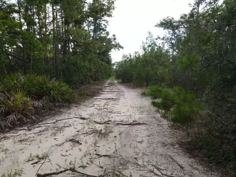 3386 Fish Creek Rd, Perry, FL 32348 photo 31