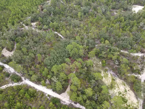 3386 Fish Creek Rd, Perry, FL 32348 photo 25