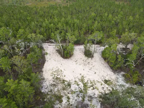 3386 Fish Creek Rd, Perry, FL 32348 photo 13
