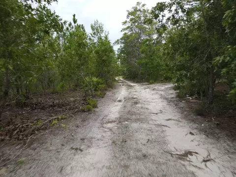 3386 Fish Creek Rd, Perry, FL 32348 photo 34