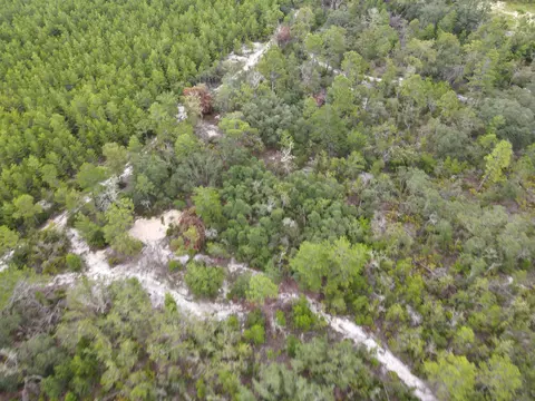 3386 Fish Creek Rd, Perry, FL 32348 photo 26