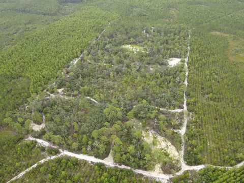 3386 Fish Creek Rd, Perry, FL 32348 photo 23