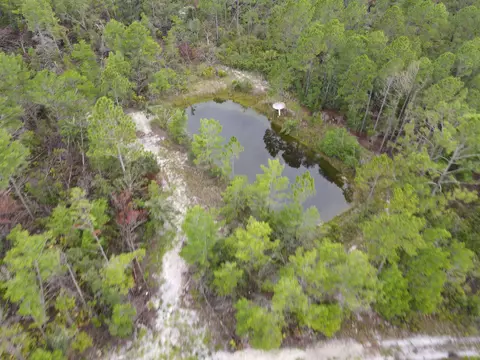 3386 Fish Creek Rd, Perry, FL 32348 photo 5