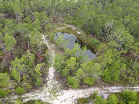 3386 Fish Creek Rd, Perry, FL 32348 photo 4