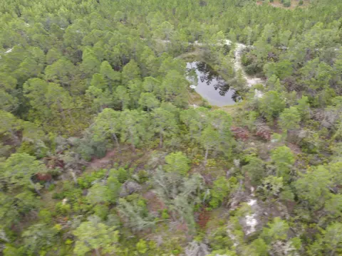 3386 Fish Creek Rd, Perry, FL 32348 photo 29